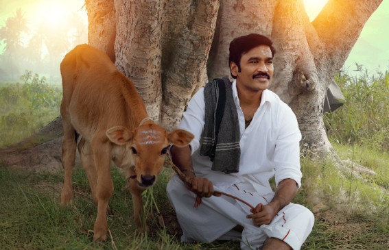 साधारण चेहरे में असाधारण प्रतिभा का नाम धनुष; एक्टिंग के साथ लेखक, गायक और निर्देशक के रूप में छोड़ी छाप